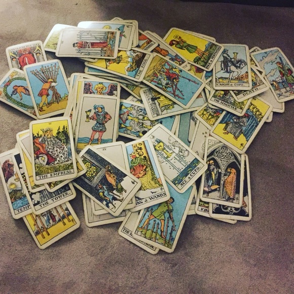 Meet your Posher, Penny - Picture 8 of 8